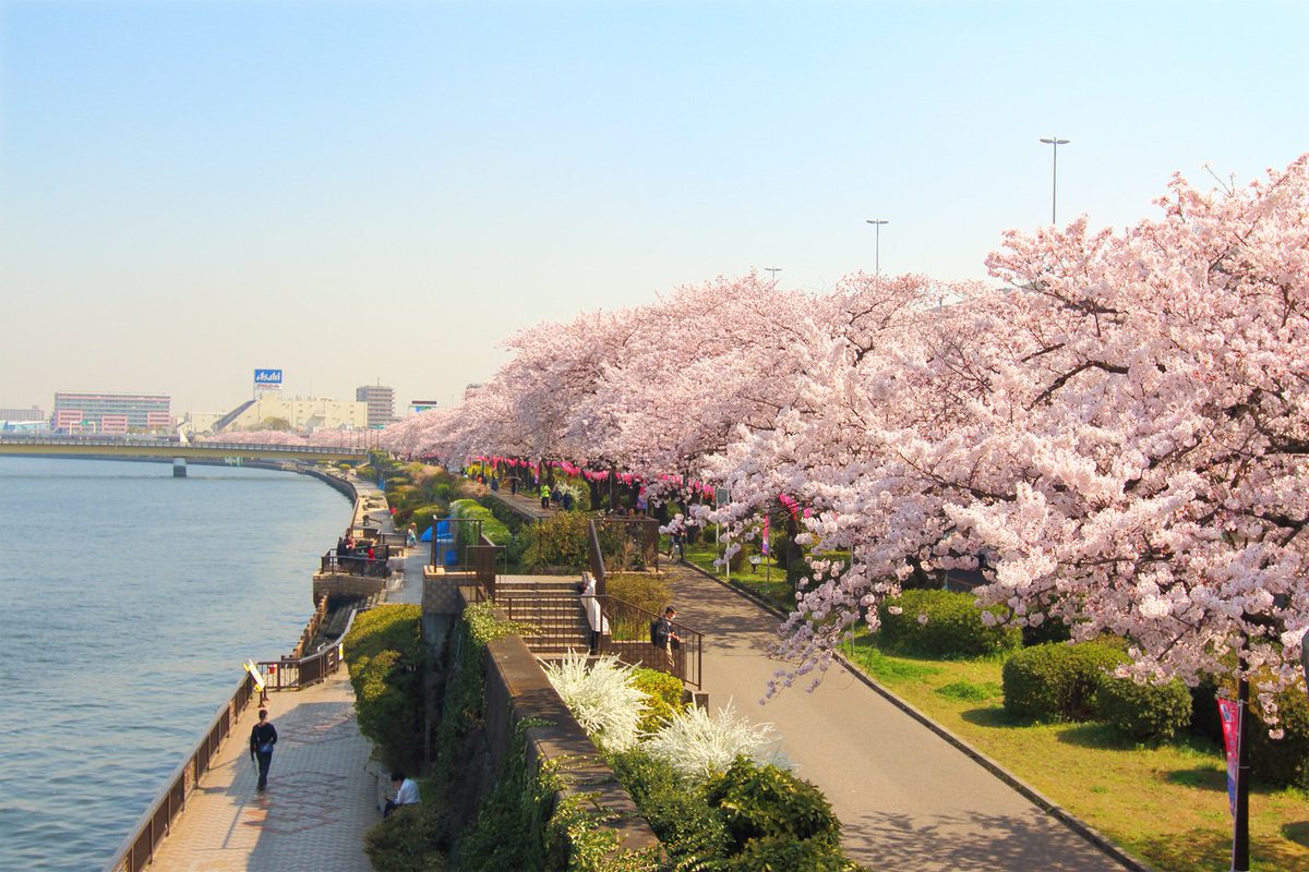 「東京都台東区花川戸1丁目：隅田公園」の画像検索結果