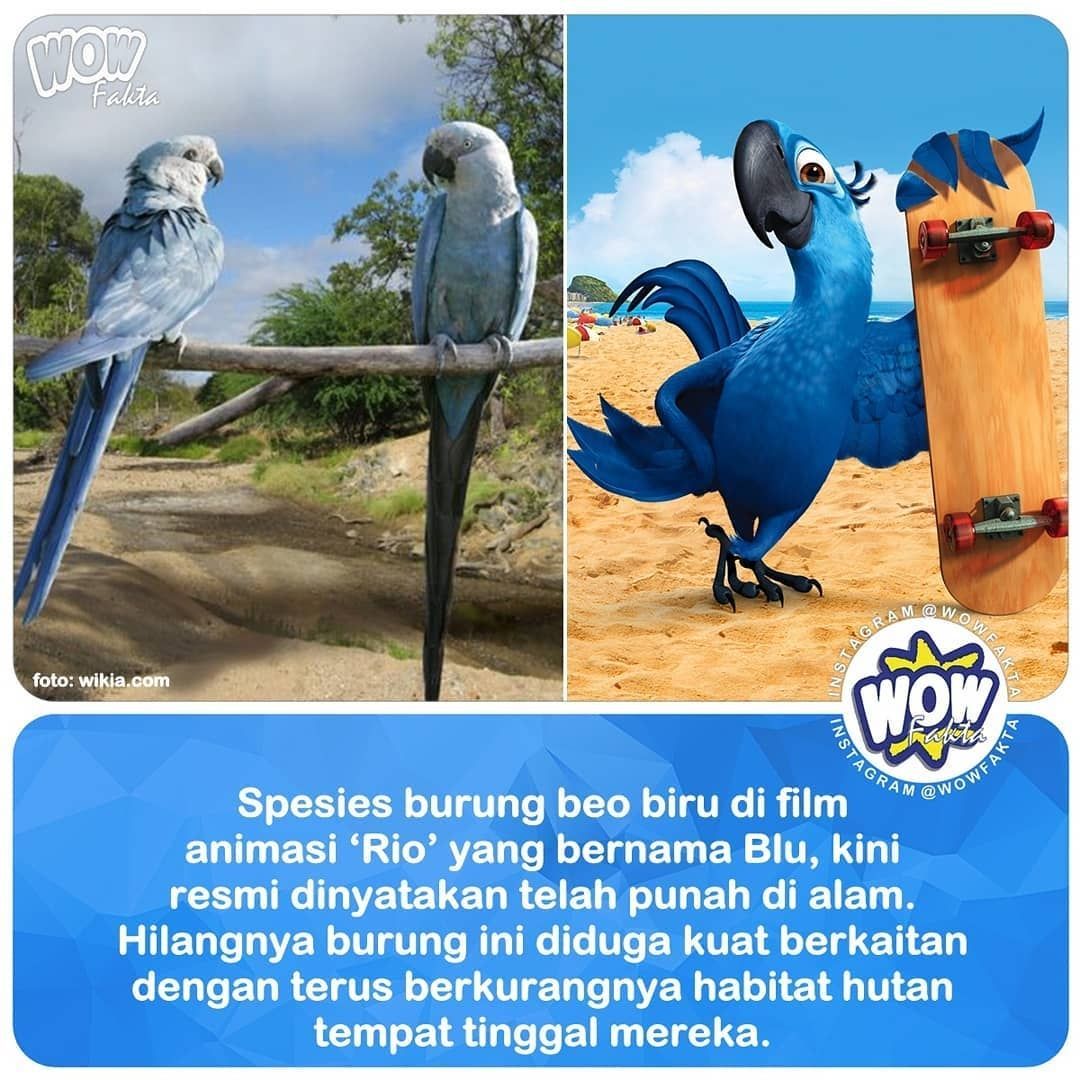 Tahukah Anda در توییتر Bagi Yang Pernah Menonton Film Animasi