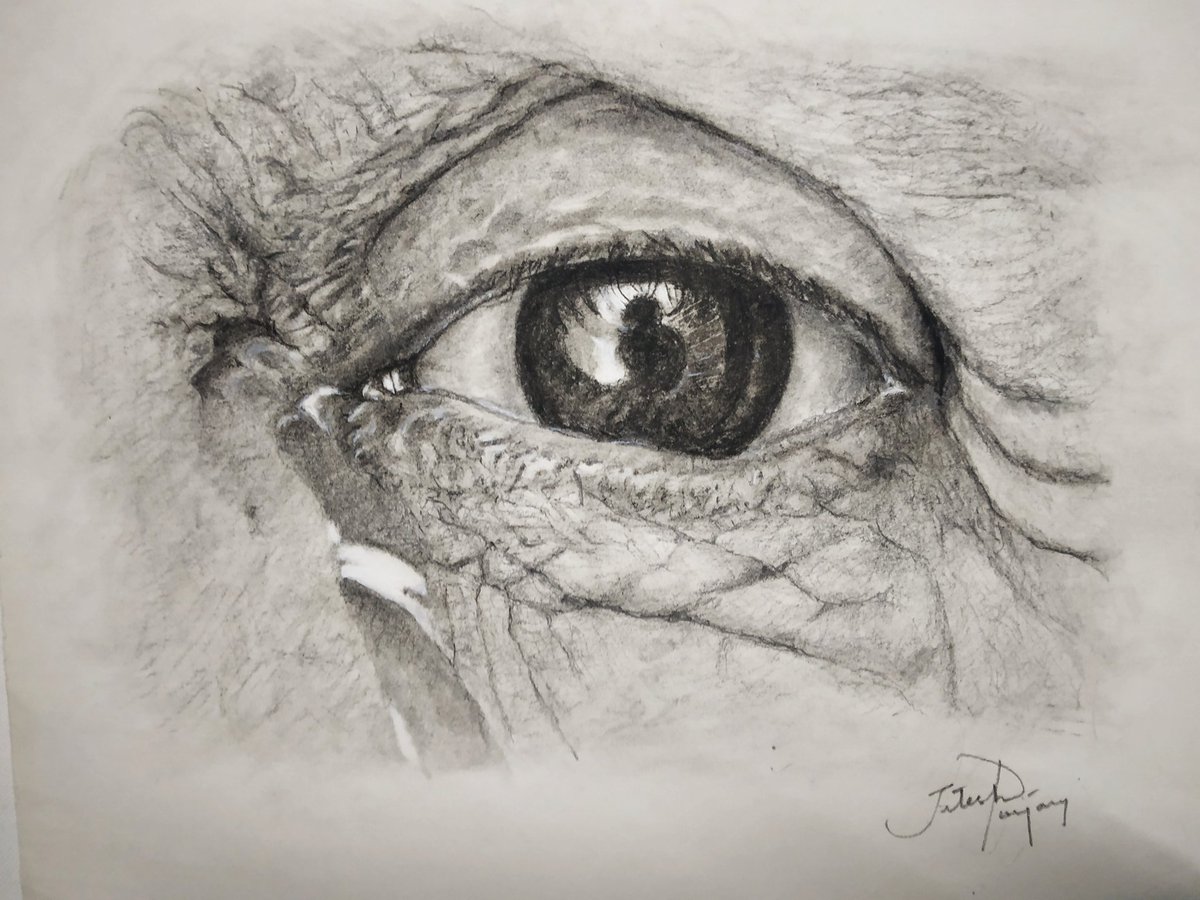 Here's an older sketch I had done