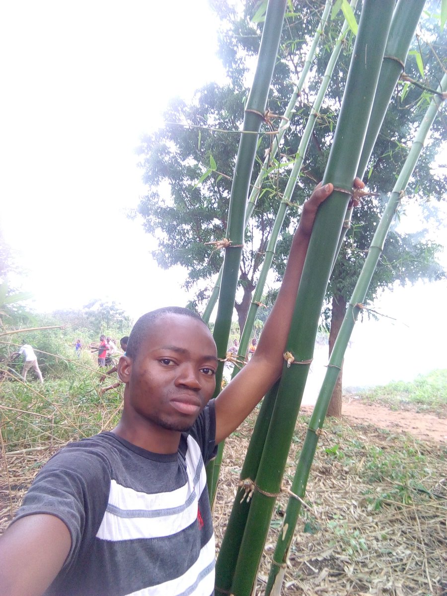 YSekande's tweet photo. #landscapes restauration, need #Bamboo. Follow us in our next #Bambooproject, @KwakuNobo, @ossara1, @NoukalaK, @woelab https://t.co/VicM90CarQ