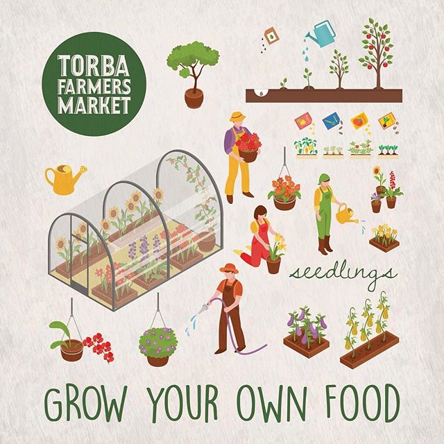 Torba Farmers Market On Twitter Will You Be Growing Food This