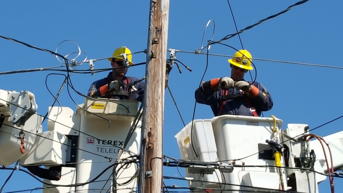 NAEDnews's tweet photo. Don your hats for #FallHatMonth; our favorites are the hard hats keeping our crew safe and stylish. They protect against falling objects, falling down, bumping into equipment, and the sun, and add visibility. Hardhats are a win-win. Letโs see your favorite fall hats! #NAED https://t.co/zpAzZ17vvY