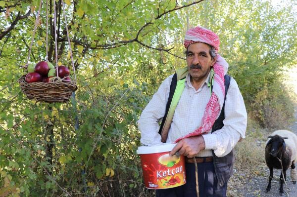 nevzatcicek's tweet photo. Bu kadim toprakların davranışı...
Bingöl'ün merkez Beyaztoprak köyünde Ömer Çakır isimli hayırsever bahçesinin yanından geçenlerin yemeleri için bahçe çeperine astığı "göz hakkı sepeti"ne çeşit çeşit meyveler bırakıyor ve ekliyor, “İnsan iyilik yapması için vardır” https://t.co/4MTLDxDUsj