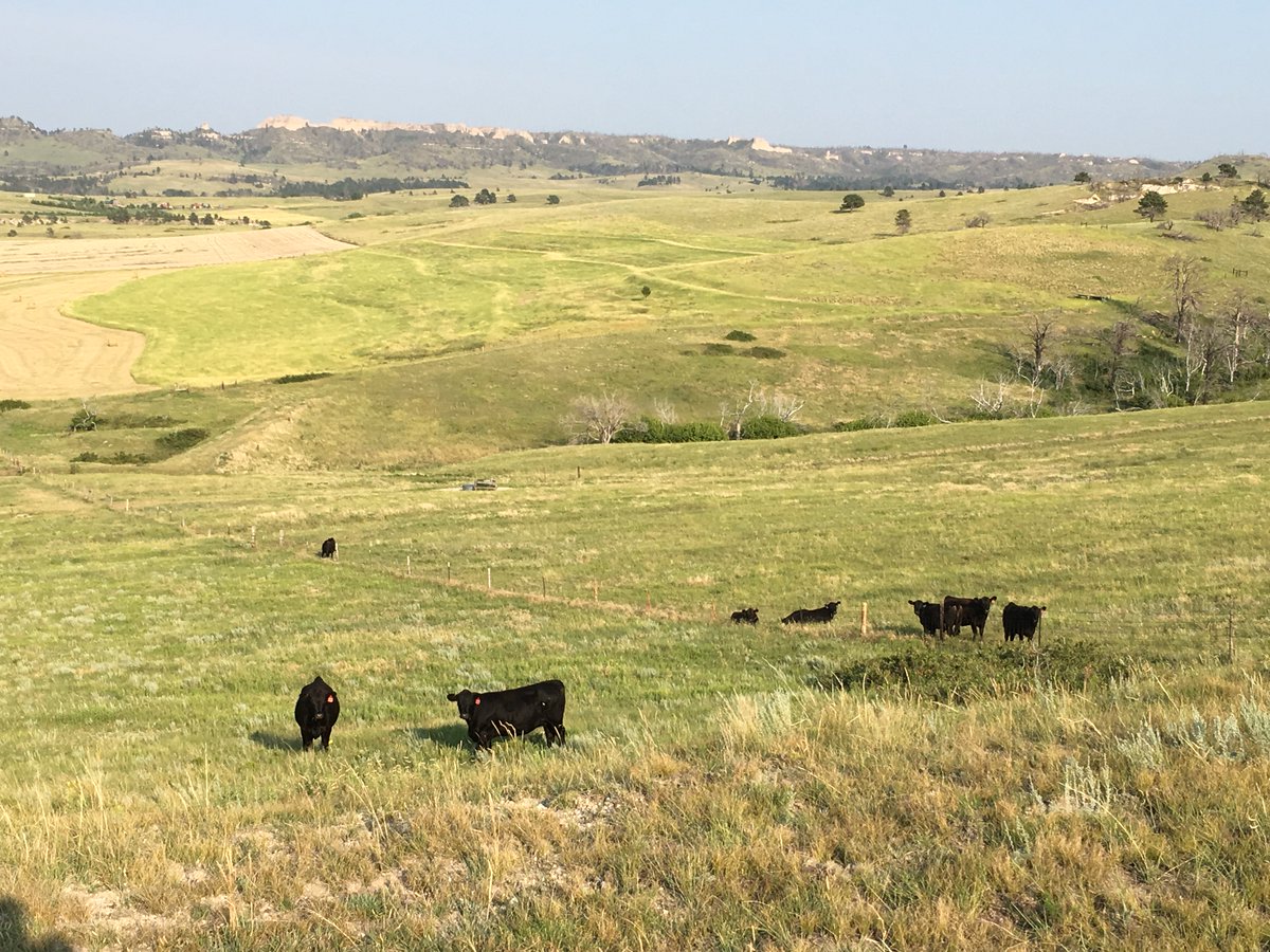 Lashley Land (LashleyLand) Twitter