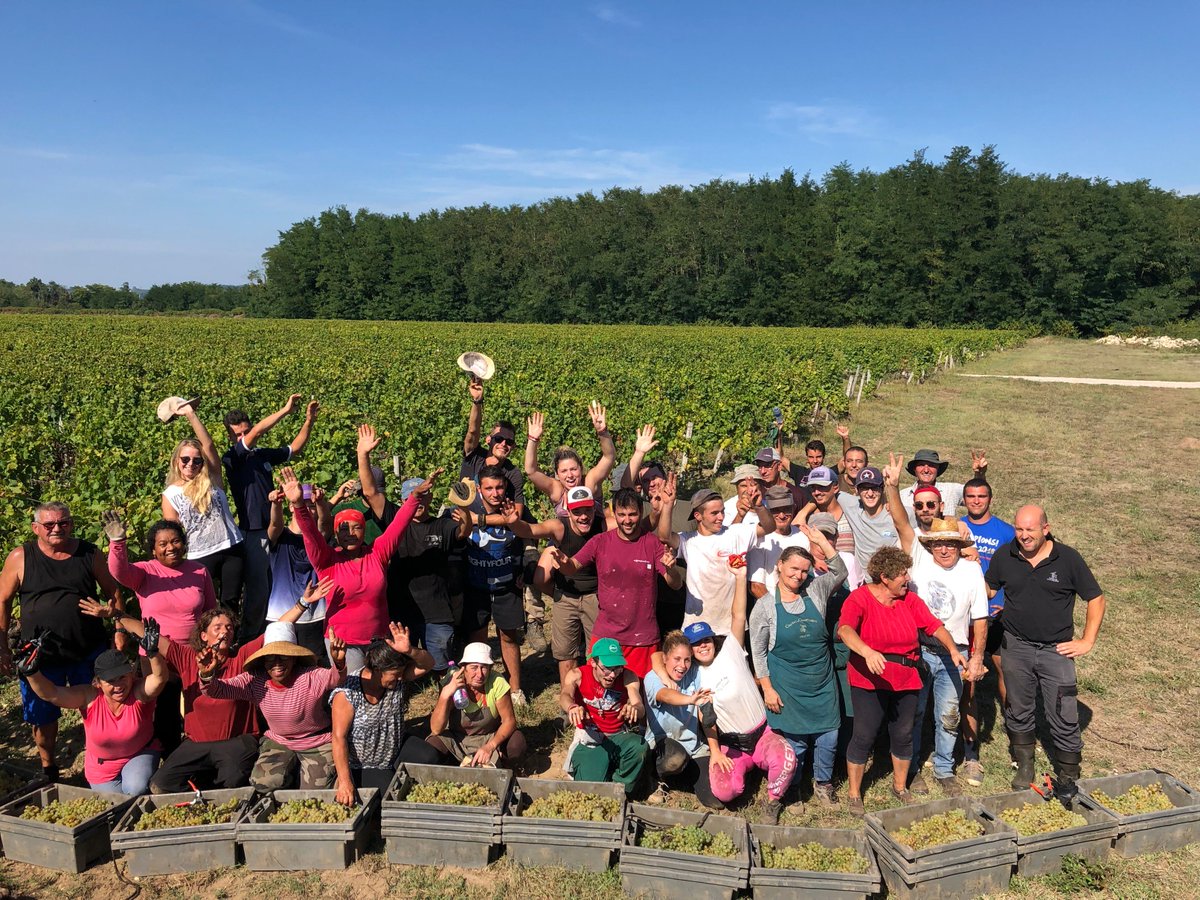 Journée terminée pour nos vendangeurs ! Toujours dans la bonne humeur malgré le rythme intense et la chaleur…

Merci à toutes et à tous d’être présents chaque jour à Chantegrive ! :)

#vendanges2018 <a href="/VinsdeGraves/">Les Vins de Graves</a> <a href="/VinsdeBordeaux/">Les Vins de Bordeaux 🍇</a>