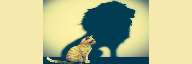 Insight Traction tweet media