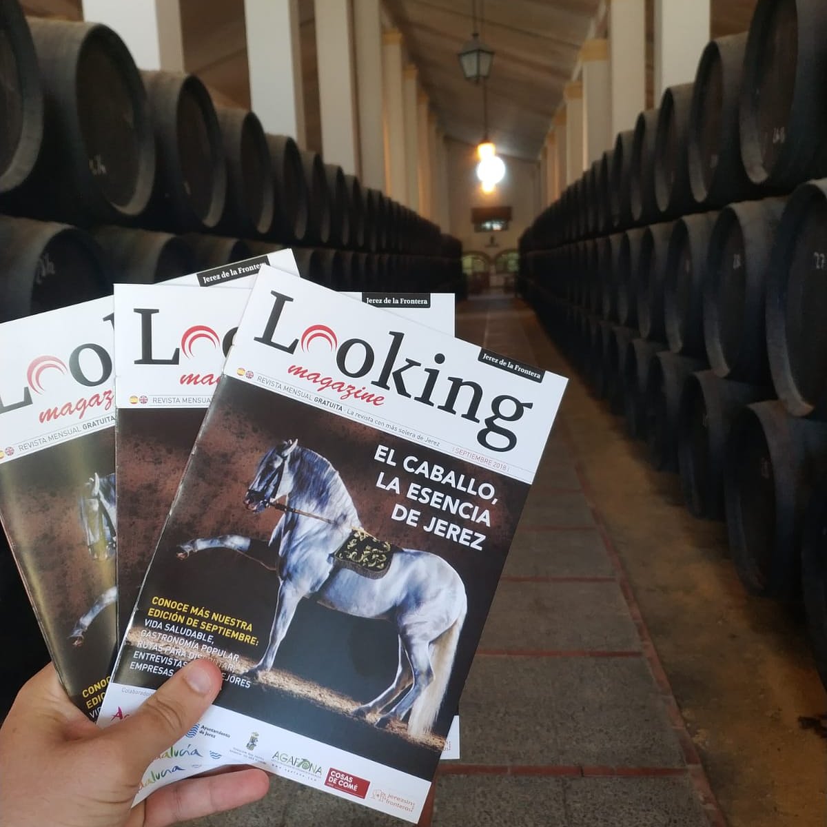LookingMagazine's tweet image. Uno a uno hacéis de #LookingMagazine un pequeño gran proyecto.

Desde la Bodega #Sandeman os damos las gracias a nuestros followers y al resto os pedimos un follow para seguir creciendo juntos cada día.

GRACIAS #JerezDeLaFrontera

lookingmagazine.com