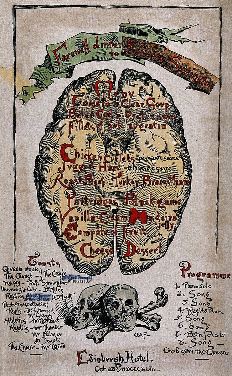 Dr Jr Thorp On Twitter It S Monday So Obviously I Ve Sent