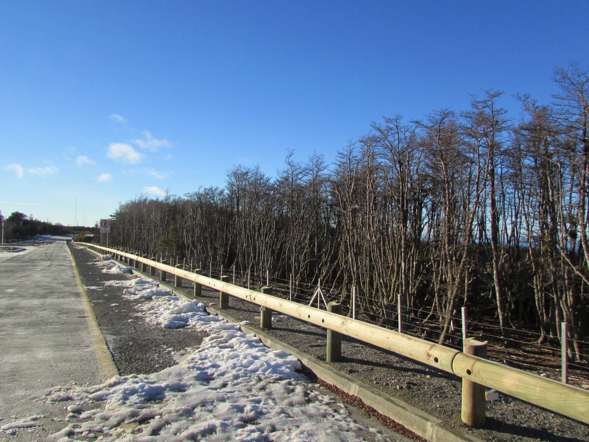 Tertu in Chilean Patagonia <a href="/tertuchile/">TERTUchile</a> bit.ly/2NuqtGO