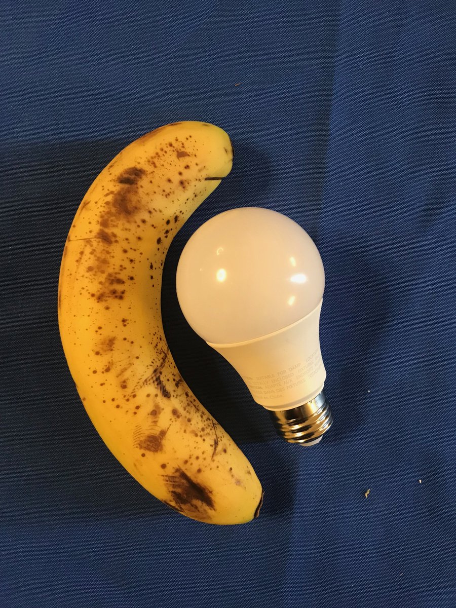 translationtalk's tweet image. ¿Qué haces si tu compañero entra con un plátano a la cabina? Alguien untó aceite de eucalipto en el foco de la lámpara, en vez de pedirle que sacara el plátano. ¿Te ha pasado algo así? #1nt #communicationfail #1int #interpreting #interprete #boothetiquette