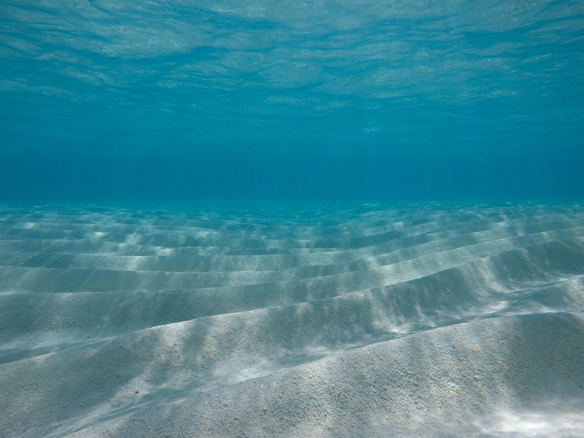 Underwater Desert 

#maldives #beach #underwater #desert #underwaterdesert #oceanadventures #oceanaddict #ocean #thodoo #underwaterphotography #underwatervideography #beautifulmaldives