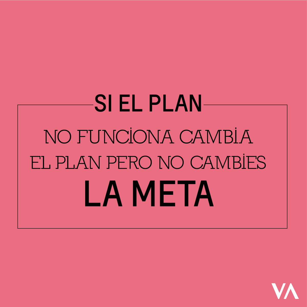 Revista VidActiva tweet media