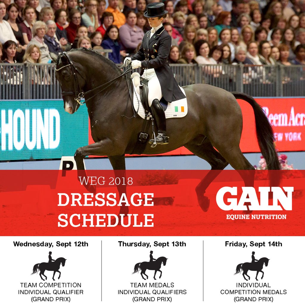 GAIN Equine Nutrition (@gainequine) on Twitter photo ๐#WEG2018 is starting this week in Tryon๐บ๐ธ! Here is all you need to know about the Dressage competition๐We will be cheering on #TeamGAIN rider <a href="/JudyReynoldsIRL/">judy reynolds</a>๐ฎ๐ช๐๐ #TeamGAIN4WEG #GAINTheAdvantage ๐#WEG2018 is starting this week in Tryon๐บ๐ธ! Here is all you need to know about the Dressage competition๐We will be cheering on #TeamGAIN rider <a href="/JudyReynoldsIRL/">judy reynolds</a>๐ฎ๐ช๐๐ #TeamGAIN4WEG #GAINTheAdvantage