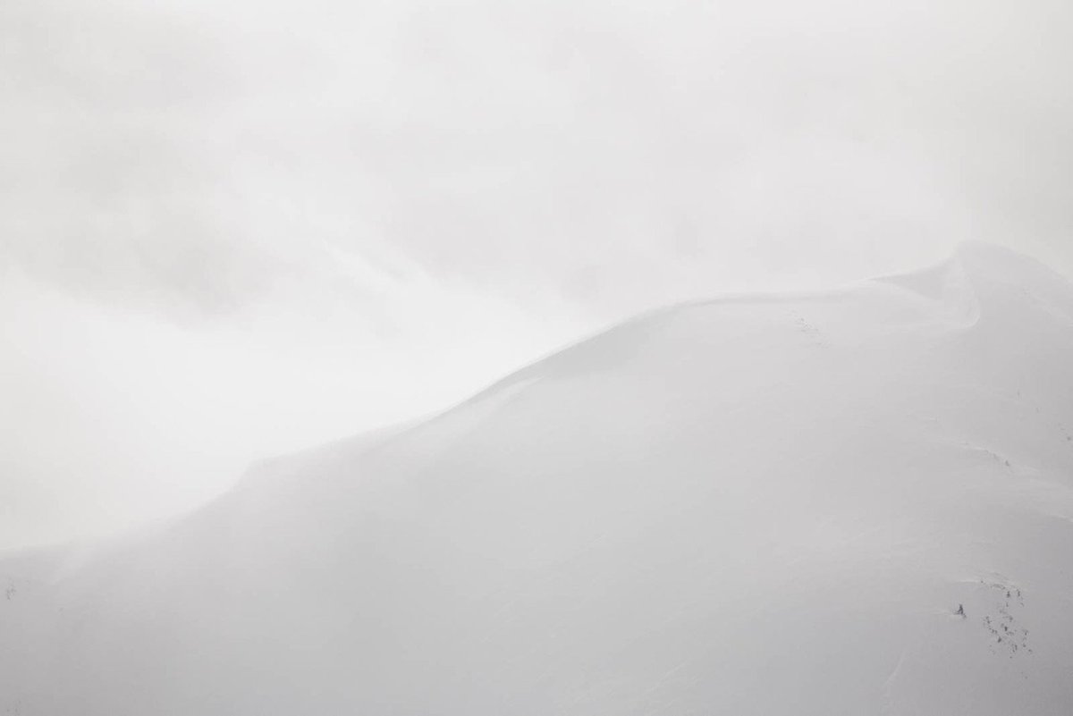 purcellheliski's tweet photo. Quiet, wild beauty. #BCbackcountry #LinesForDays @dibbledibble photo https://t.co/X8tcdIjqT2