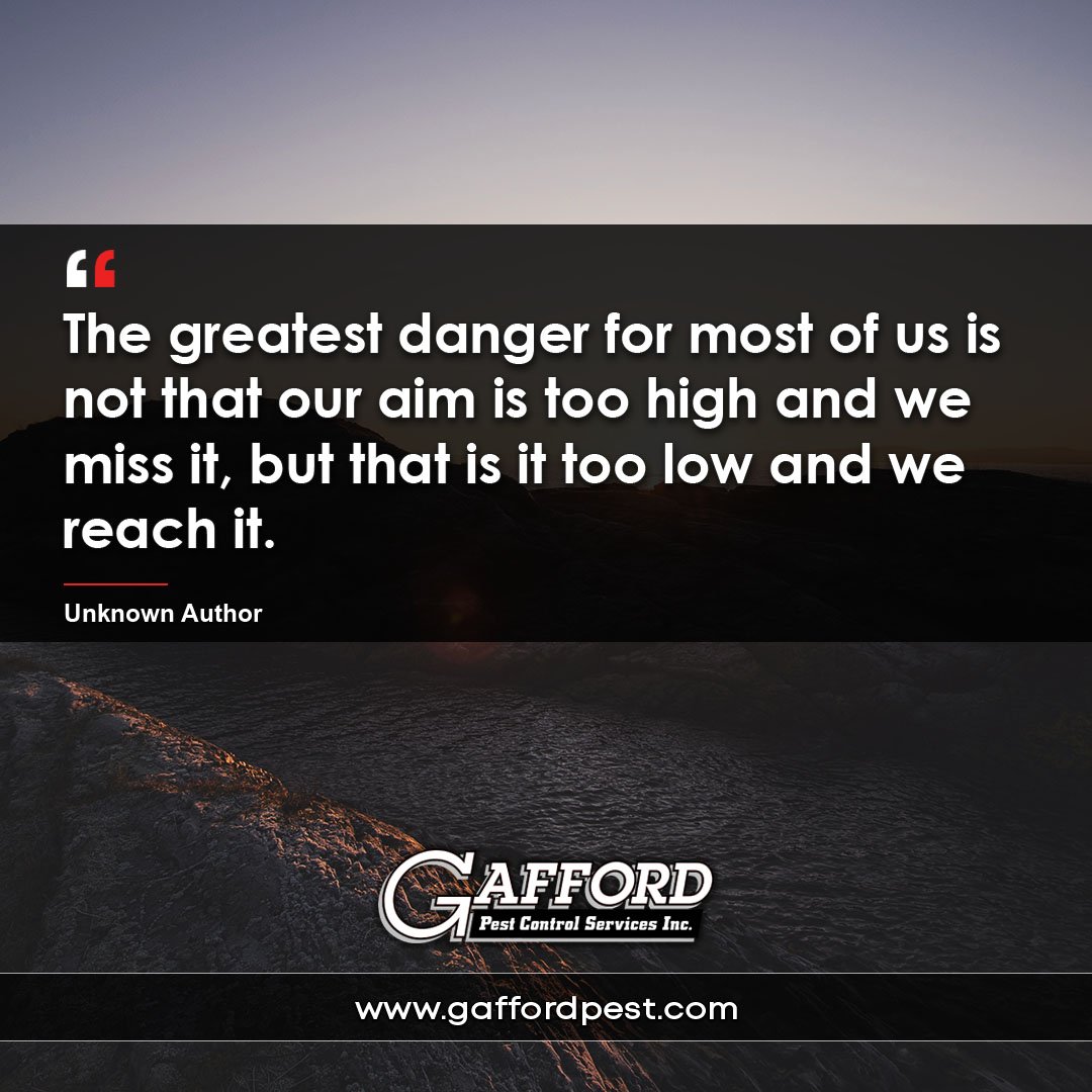 Gafford Pest Control (GaffordPest) Twitter