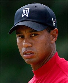 mock turtleneck tiger