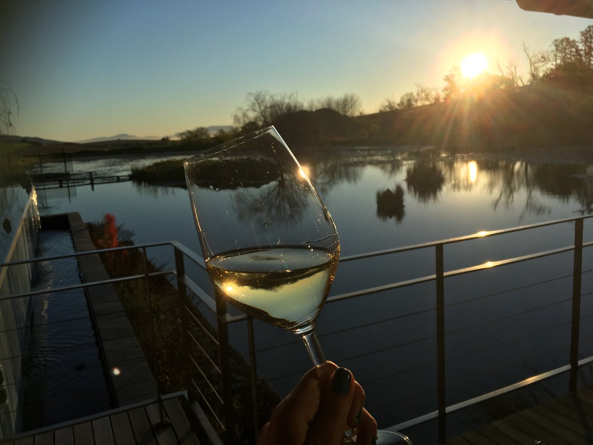 mclowe24's tweet photo. Today’s #balconywine coming from #laibachwines @francoiswineman quick glass of ladybird white then it’s time for braai @MattyMagnums #caperoadtrip https://t.co/rFzxEBF4yK