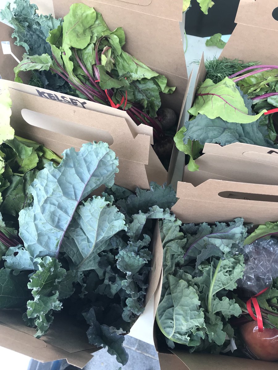 Downtown Farmers Market Fresh Box order deadline is Tuesday at 5pm. Get a box of market goodies picked and packed for you to pickup on the way home Thursday. downtown-fresh-box.squarespace.com