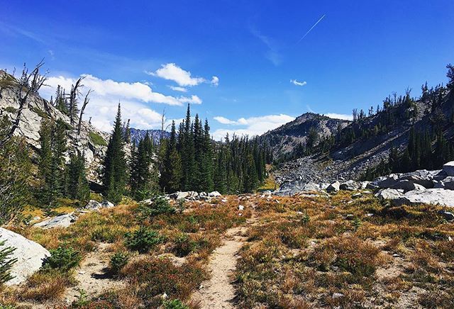 zoesymon's tweet photo. Another view from Saturday’s hike because, how could I not share more of this?! This trail was a funny one. It had long, beautiful, well-graded switchbacks for most of the hike, and then with about a mile left to go, it’s like the trail builder forgot wh… https://t.co/rhaCV9mnja https://t.co/DGjJJzolS2