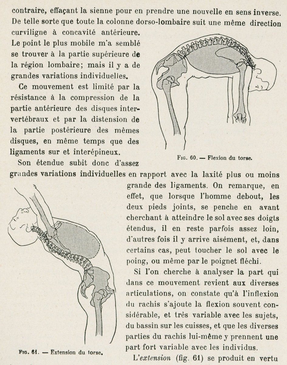 美術解剖学は、How to drawではなく、人体や生物、およびそれらを表現した作品を観る目を養う学問なので、様々なスタイルや趣向を持つ作家に対応できると考えている。How to drawは個人スタイルを教えがちになる。自然物の構造と形態は、個人の造形趣向とは関係なく存在している。 