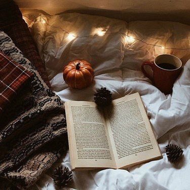 🍁ОСЕННЯЯ ЦЕПОЧКА🍁

🍁Читай меня
🍁Делай рт
🍁Читай ретвитнувших
🍁И получай удовольствие от этой осени и от новых читателей

(Шутка про 0 рт)

#ЦепочкаТвиттерских 
#ЦепочкаФолловеров