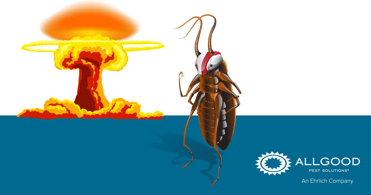AllgoodService's tweet photo. It’s been said that cockroaches could survive a nuclear war. It’s never been said, however, that cockroaches could survive a run-in with an Allgood tech. #TechTerminator

 https://t.co/UXbq2vFnME https://t.co/kbioC9Sd2w