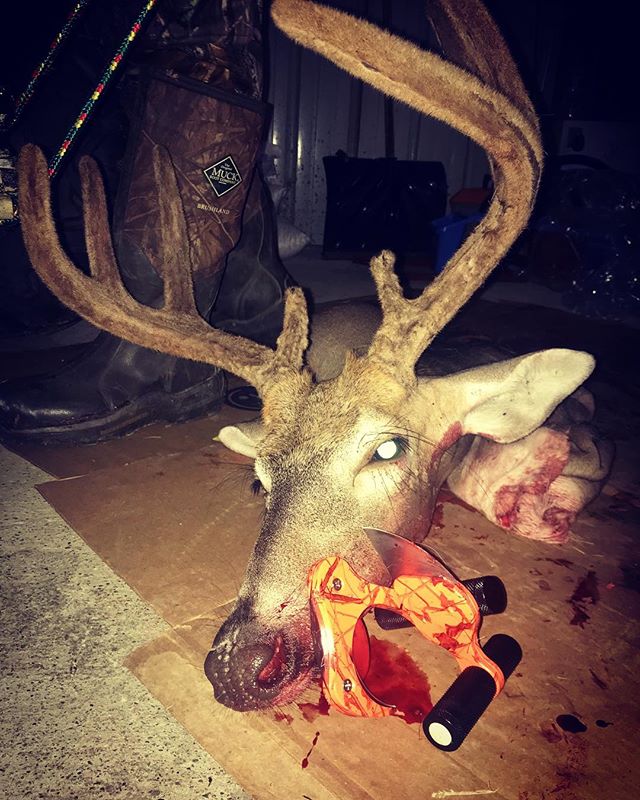 #repost: Put the good ole Raptorazor knives to work lastnight on this velvet 8 pointer 🦌 #deerhunting #centralky #deer #bowseason2018 #TeamRaptoRazor #raptorazorknives #RaptoRazor 📷: @futurecressoutdoors