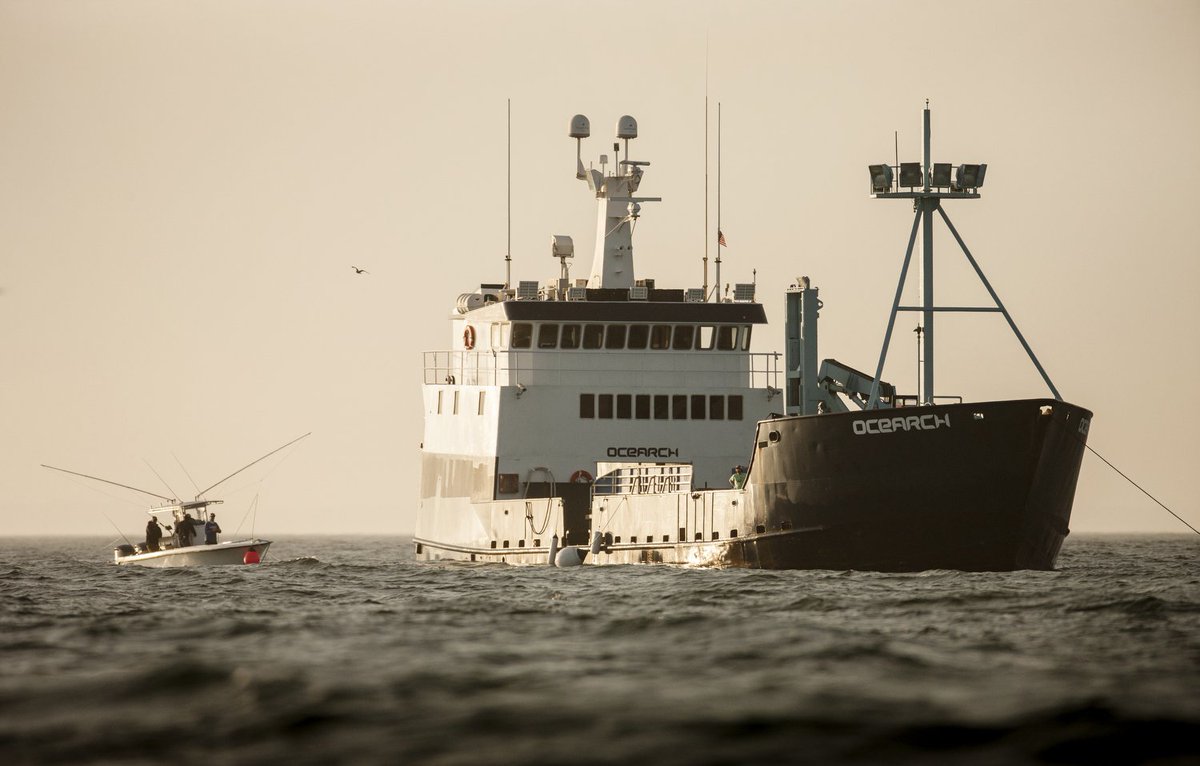 Sign up now for a ship tour of the M/V OCEARCH while it’s in Halifax, Nova Scotia next week. Come say hello and meet the crew before we set off on our expedition. bit.ly/2NwA7Zj