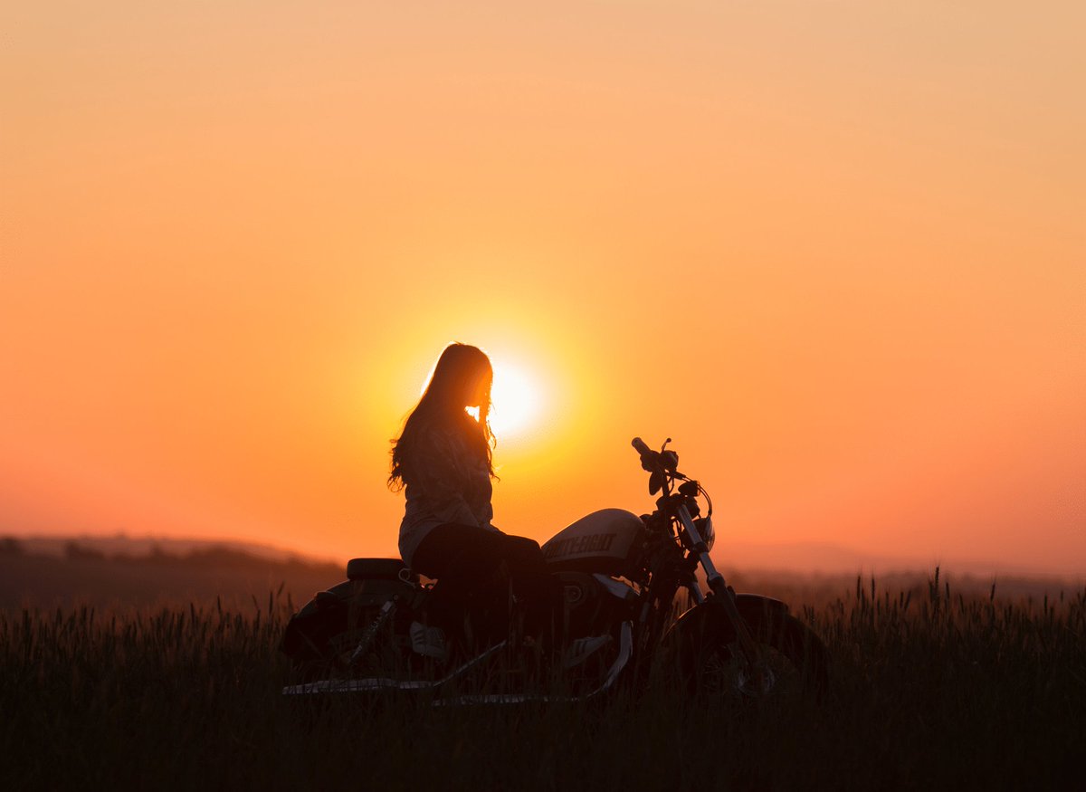 Society Rebel tweet media