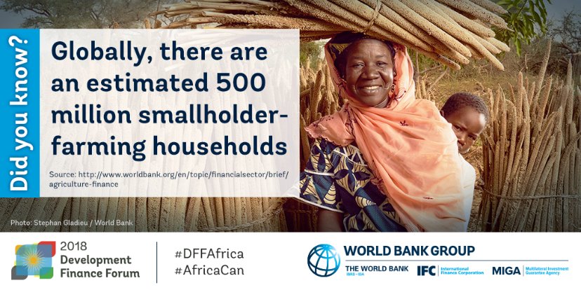 Across #Africa, small farms dominate. But limited mechanization leads to poor yields. Fragmented markets and poor infrastructure limit production. Now is the time to invest in Africa: wrld.bg/g7U630lJb7t #DFFAFrica #AfricaCan