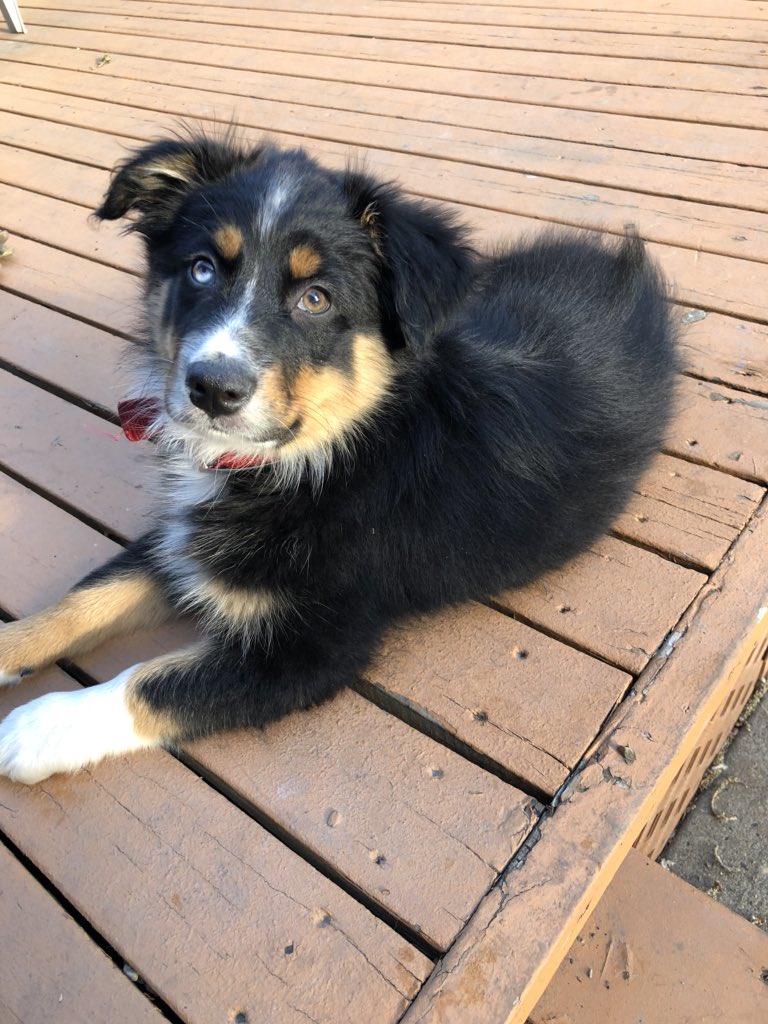 Olde Block Records tweet media