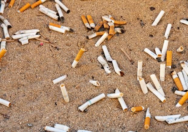 EtobMimicoCreek's tweet photo. #MondayMotivation Citizens everywhere have been minimizing their use of single use plastic. Next challenge: cigarette butts! Even Global news is on board: https://t.co/9fi7ypzULr Join a Watershed Wide Cleanup near you and be a #CleanupHero https://t.co/hTf7mPoNX9 https://t.co/BBLTvQRfJy