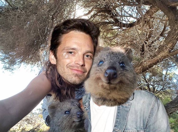 TaikaWaititi_IT's tweet photo. @silversflint Fixed: https://t.co/A9lrHGaVyA