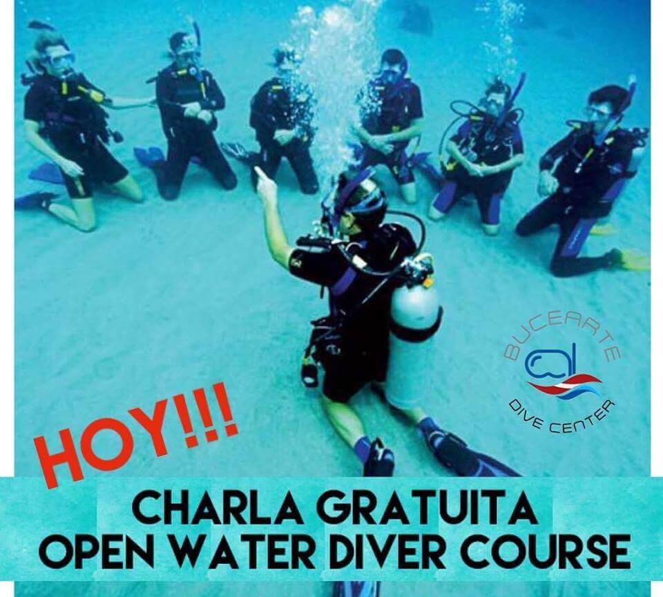 Hoy Charla Informativa Gratuita, para el Curso Open Water Diver.... Asiste!!!

#buceo #burbujas #scuba #curso #estudios #diversion #naturaleza #aventura #oceano #venezuela #vida #paz #libertad #union #buceoenvenezuela #diving #tusa #padi