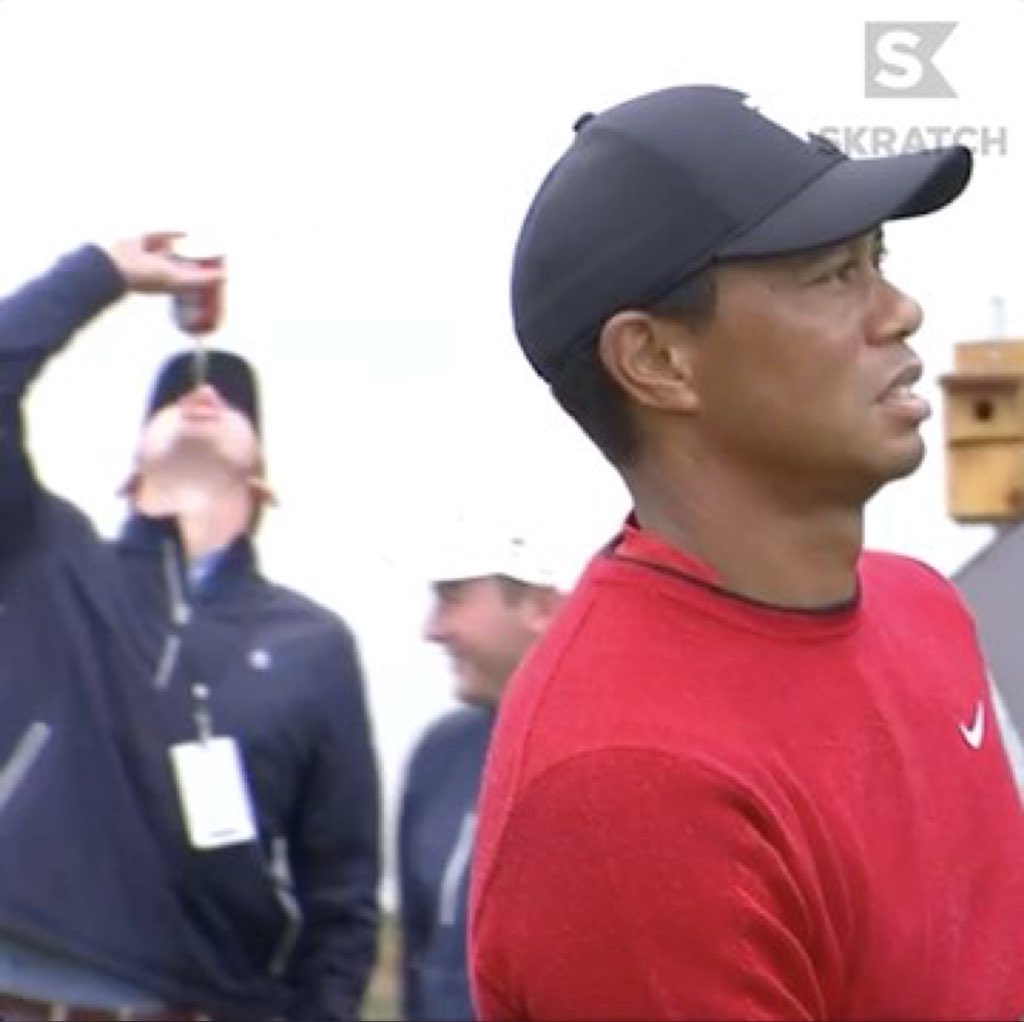 Tiger Tracker on Twitter "I also just added some photos to the new