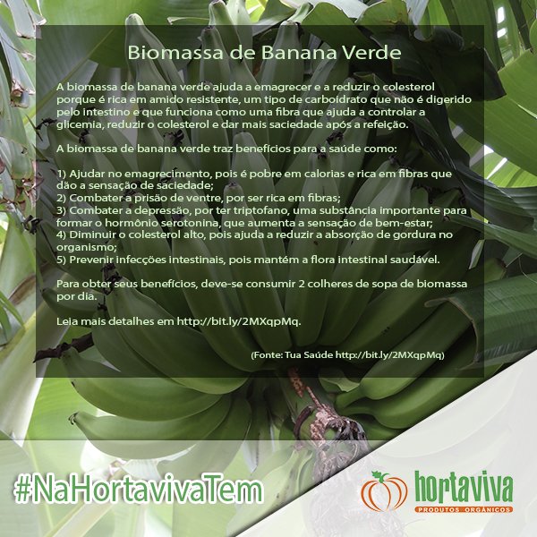 Hortavivarn's tweet photo. Procurando biomassa de banana verde orgânica? #NaHortavivaTem > Armazém do Orgânico na Rua Praia de Cotovelo 2213, Conj. Ponta Negra. Anote os horários de funcionamento: segunda a sexta das 07h às 14h e ao sábado, das 06h às 12h00  #Alimentação #OrgânicosCertificados https://t.co/zugtnuemYN
