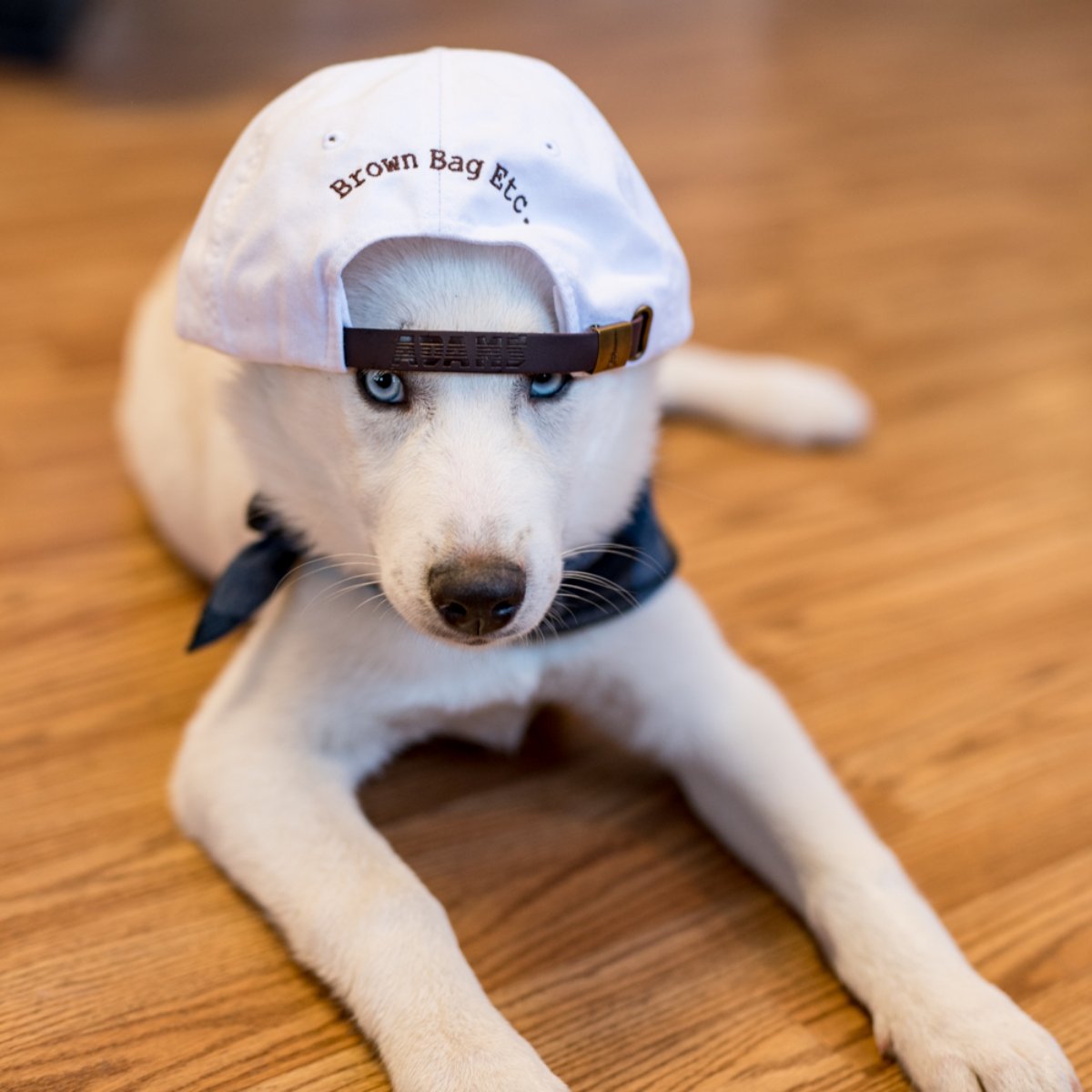 Too cool for school.