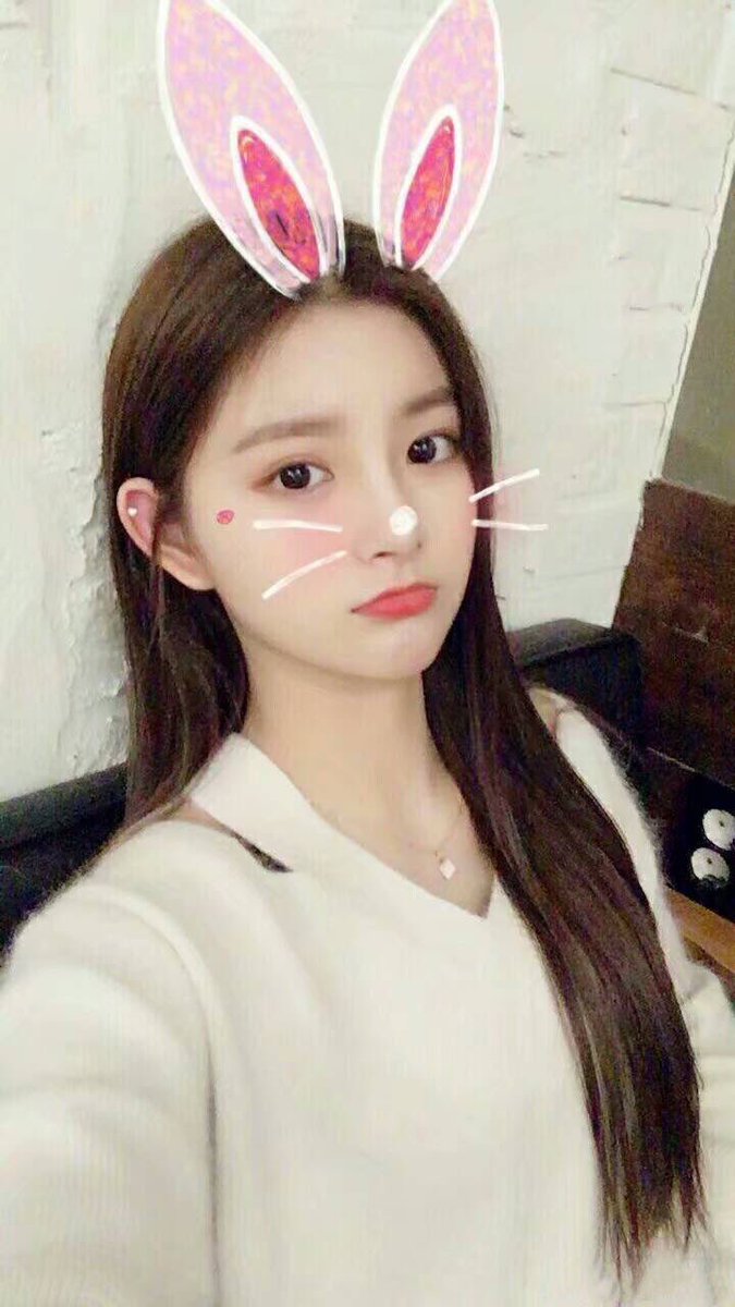 yirenpictures's tweet photo. yireon ft. animal filters 

#王怡人 #ワンイロン #왕이런 https://t.co/Wm7er2fX8V