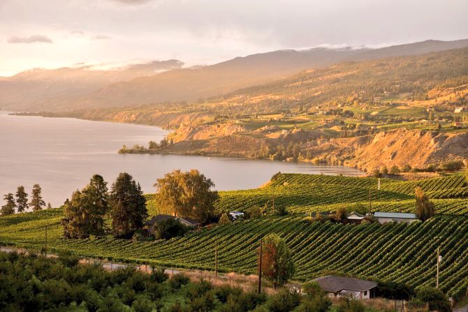 SkyRunOkanagan's tweet photo. Visit this fall to sip some big reds @ the #Okanagan Fall Wine Festival on Sept 27-Oct 7. Make it a weekend with off-season lodging deals! 🍷🍂 #wine

🥂Deals: https://t.co/4nZKGvlt7b https://t.co/uhfIAkALH2