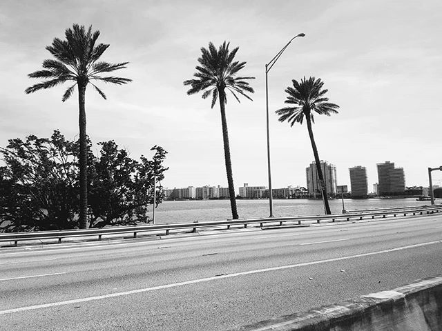 flaviaguiarmelo's tweet photo. This is #Miami.. 35° of pure beauty... 😎🌅
.
.
.
#vacation #trip #usa #florida #miamibeach #goodvibes #yolo #instapic #instalike #igersbr
.
#viajarepreciso #viajarfazbem #brasileitosporai #viagemperfeita #euamoviajar #viagem #aventureiros https://t.co/OtTl3xO931 https://t.co/ug4OocITsA