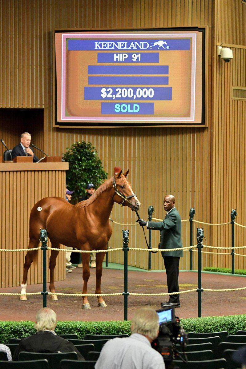 keenelandsales's tweet photo. American Pharoah Colt Sells For $2.2 Million On September Sale Opening Day. Read story → https://t.co/ZE2l1ZPn5K
#KeeSept #Keeneland https://t.co/2PsAnOMOzg