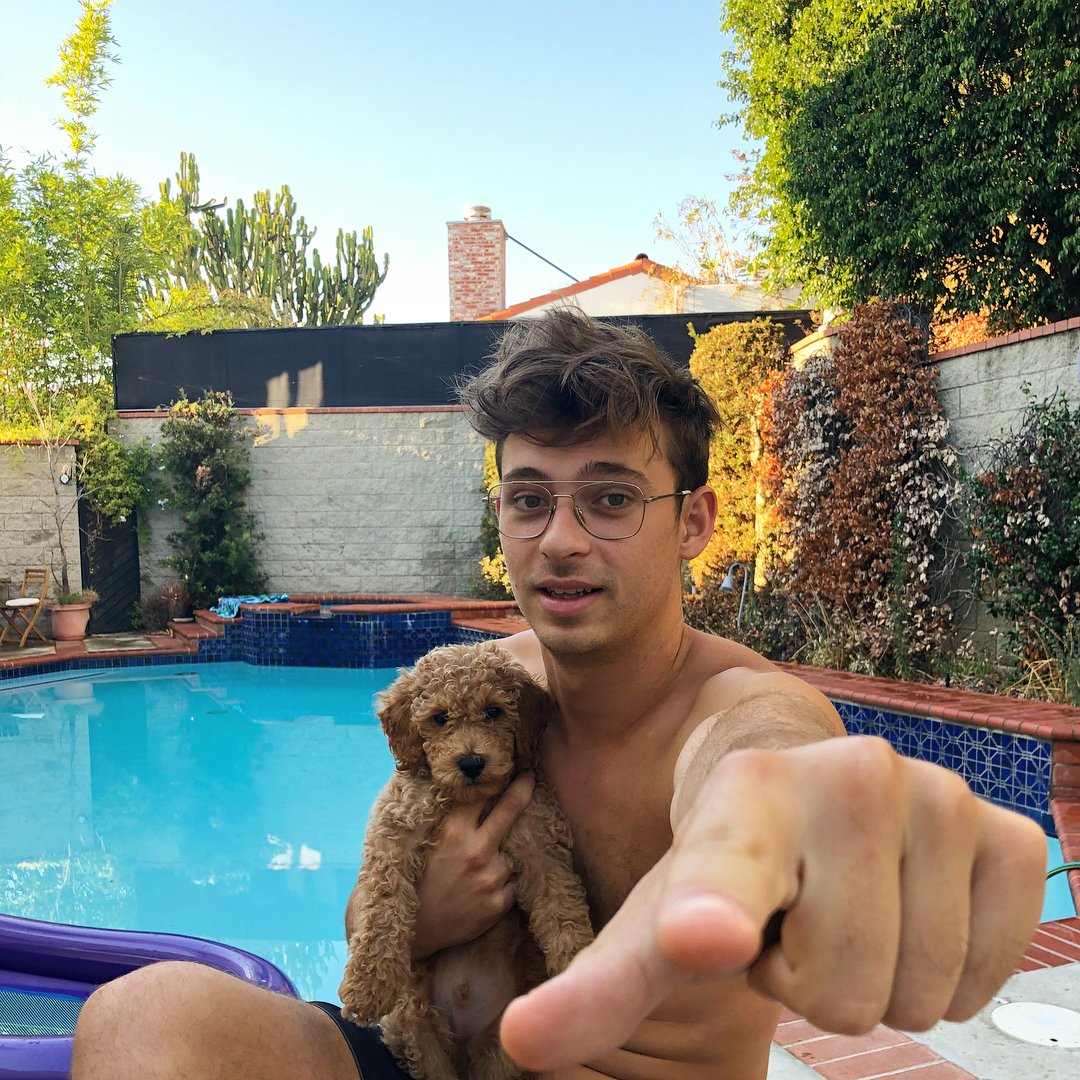 Figuring out the world 🐶