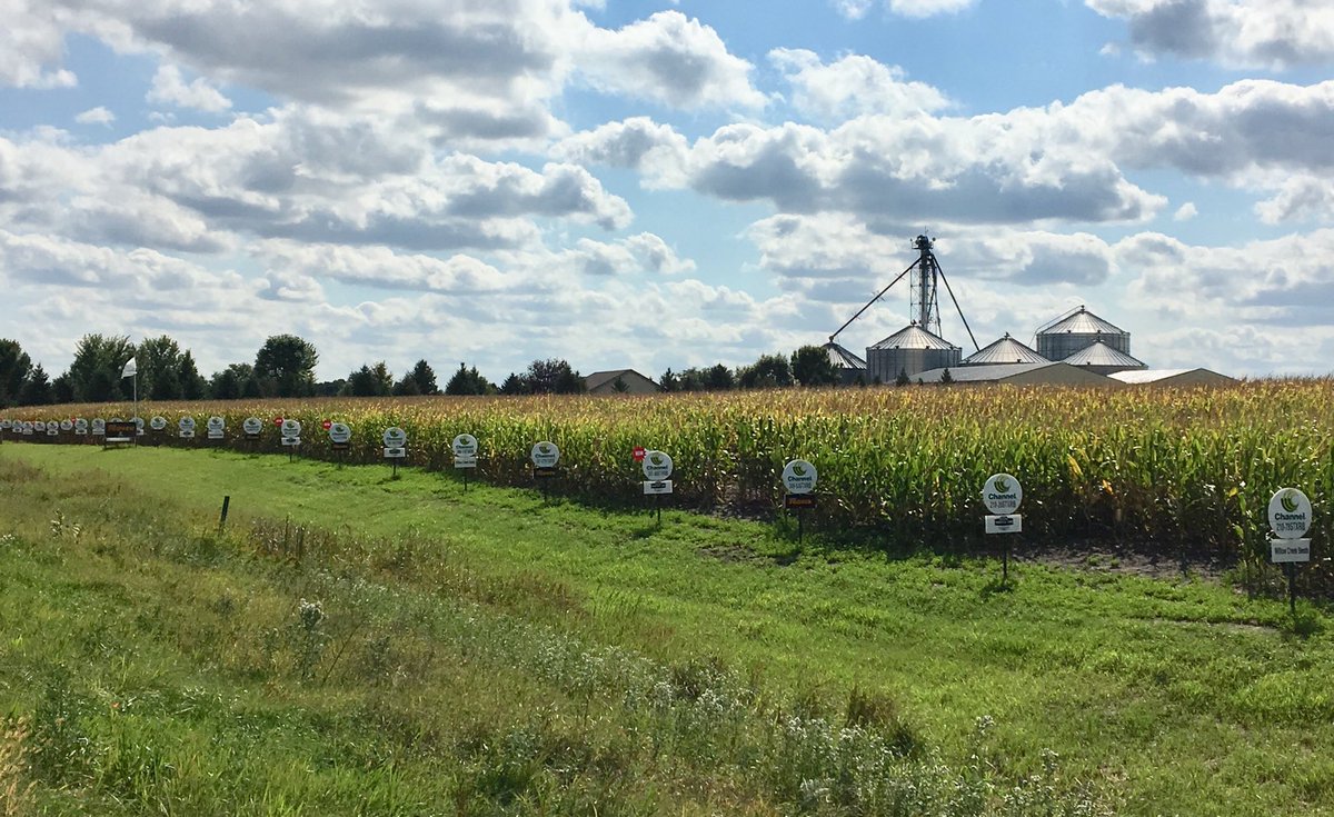 Brian Kohler tweet media