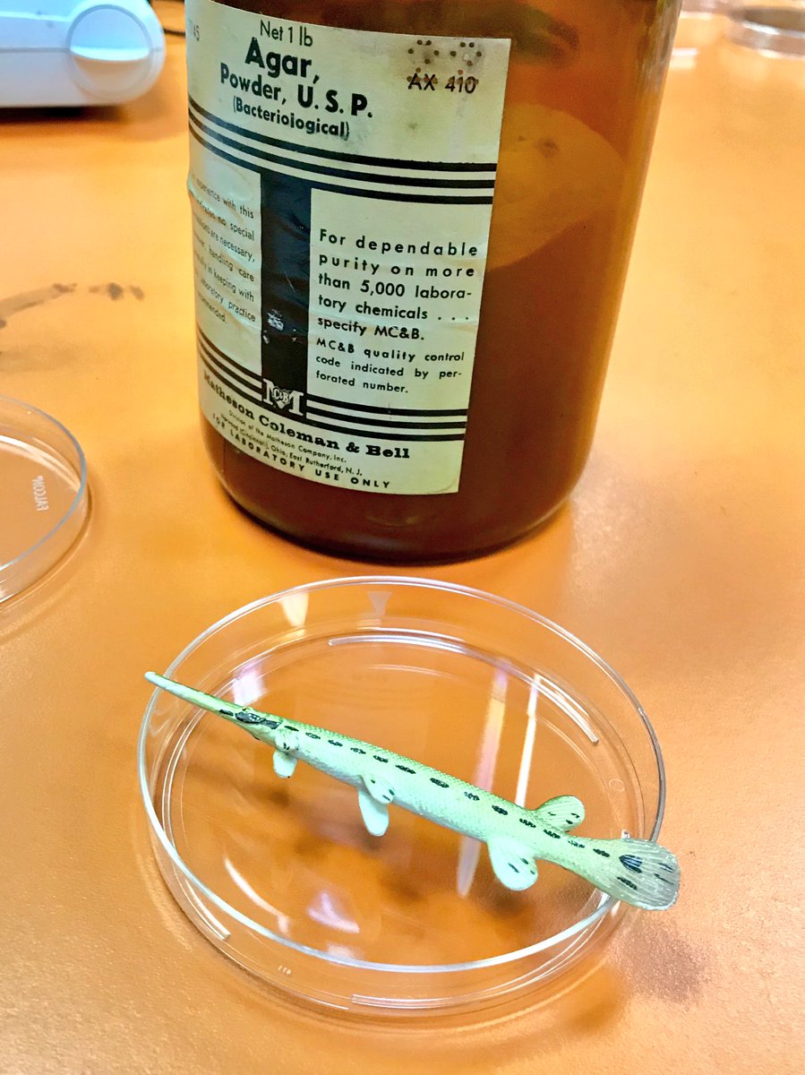 SolomonRDavid's tweet photo. SCIENCE is AMAZING!!!
#GarPuns https://t.co/iaGzxCCqKh