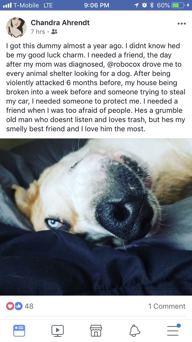 This is a friend whose post is such an inspirational example of how animals can be there for us as emotional support. 

Please head over to gofundme.com/wednesdays-war… to donate. We want to help as many people like Chandra as paw-sible!

#wednesdayswarriors #letsmakelifepawsome