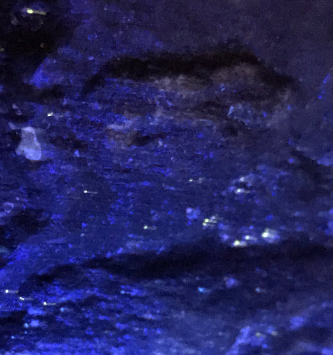 PVaughanEcology's tweet photo. #ProjectProteus #Spelomicrobiology There are sparkling bacterial colonies on the cave walls of the Trebinje Proteus Observatorium. Below shows some illuminated by LED light from my headlamp (left) and fluorescing under UV (right). @conservationucl @MSc_aquaticUCL @carlsayerUCL https://t.co/HBy68loBHW