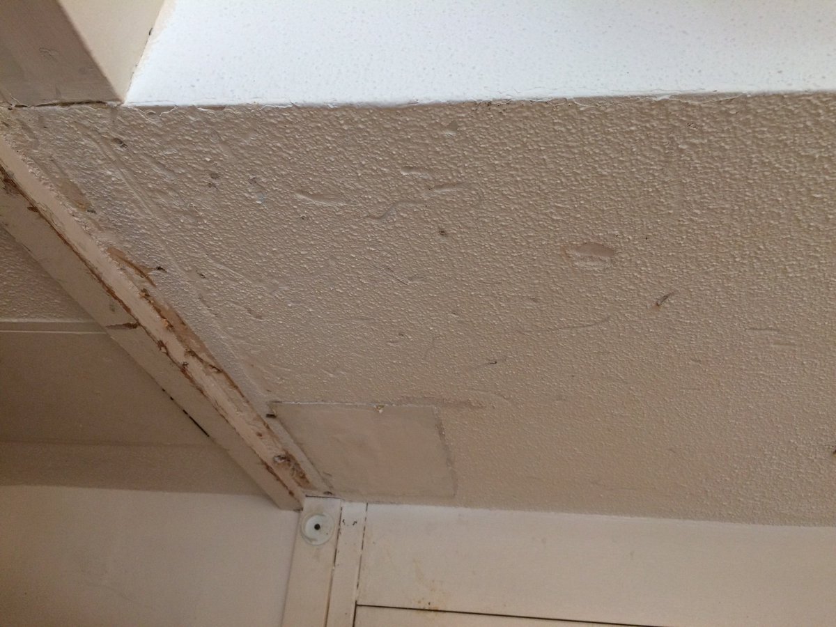 Home Reno Deals On Twitter Quick Popcorn Ceiling Texture Repairs