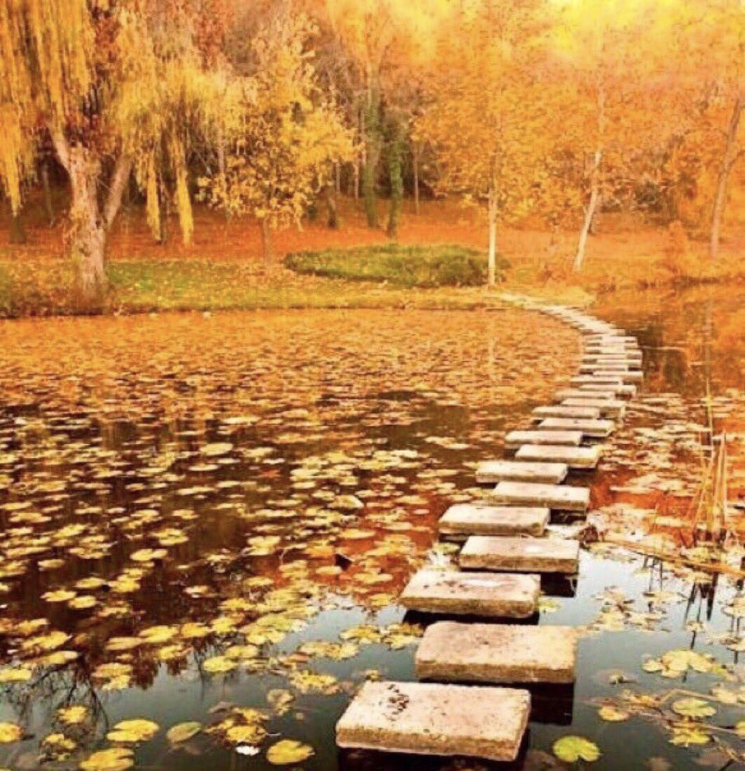 AnneScottlin's tweet photo. ❦The view is new at every step—stop and find life's hidden treasures.~Anne Scottlin
#grateful #beauty #path #treasure #steps #pic #www.go.shr.lc/2oM3Z72 https://t.co/dV0BuRHrYs