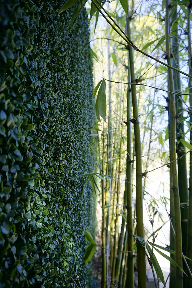 GeraniumStreet's tweet image. When our premium artificial boxwood seamlessly adds to he existing live greenery... 😍😍😍
#DefineSpace #CreatePrivacy #Greenery #Install #SoCal