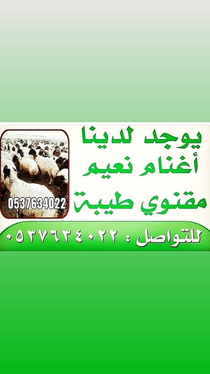 9jjgf's tweet photo. https://t.co/VnoeQ2CbaN